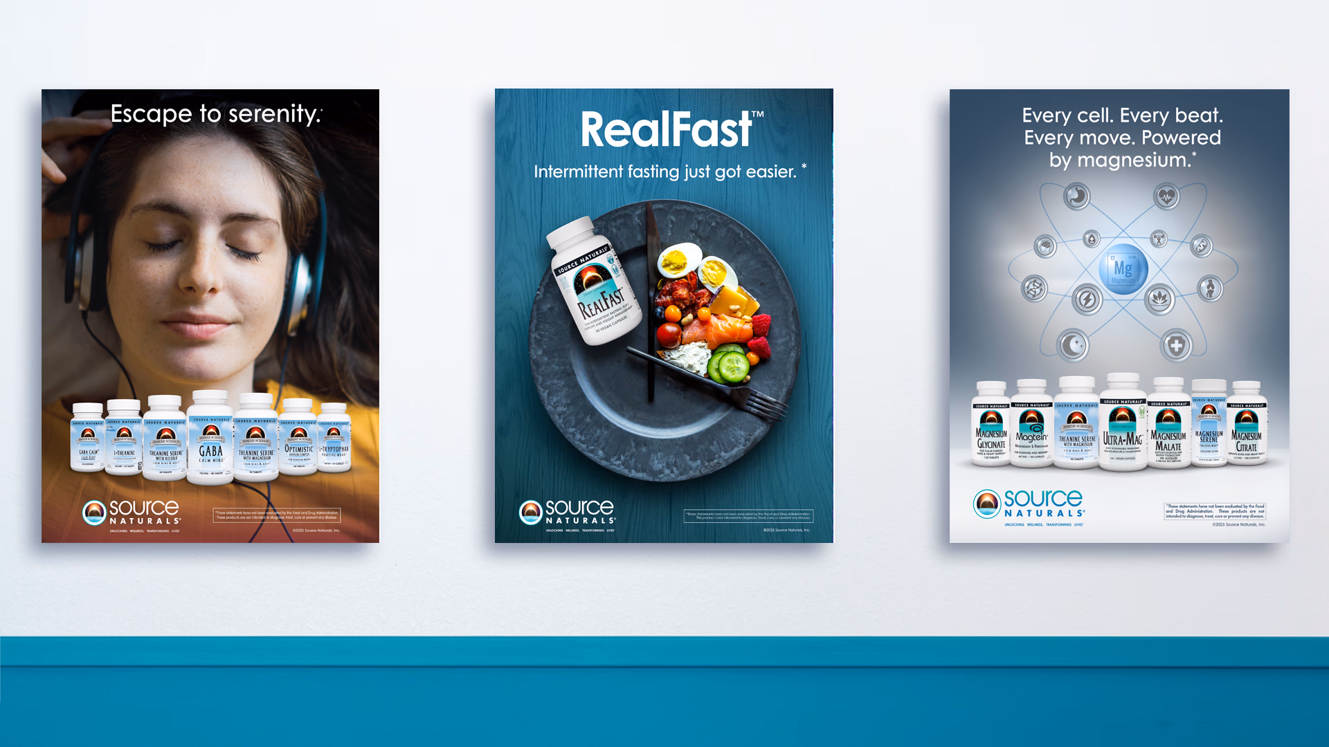 Source Naturals identity system and branded packaging evolution.
